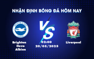 brighton hove albion liverpool 20 05 ngoai hang anh