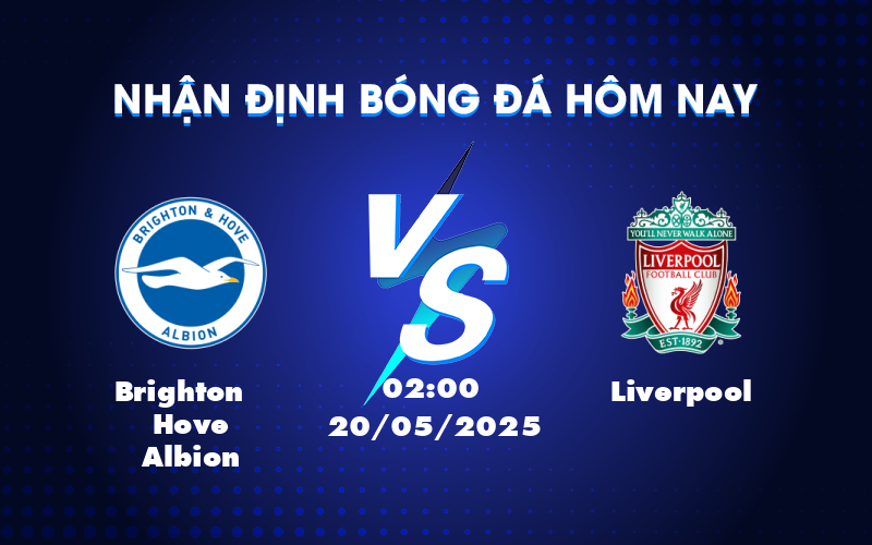 brighton hove albion liverpool 20 05 ngoai hang anh