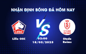 lille osc stade reims 18 05 ligue 1